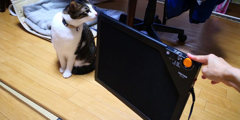 ダイニングテーブルをこたつにして、猫と一緒に冬を快適に過ごそう♪ そらのしっぽ