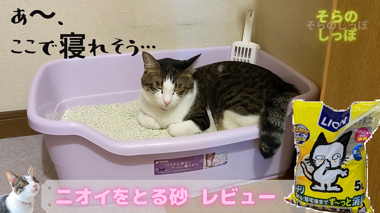 超人気 ライオン ニオイをとる砂 獣医師共同開発猫トイレ 猫用 トイレ 固まる猫砂専用 スコップ付 日本製 広め シンプル 獣医師開発猫トイレ LION 